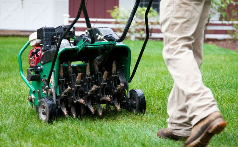 Aerate Compacted Soil
