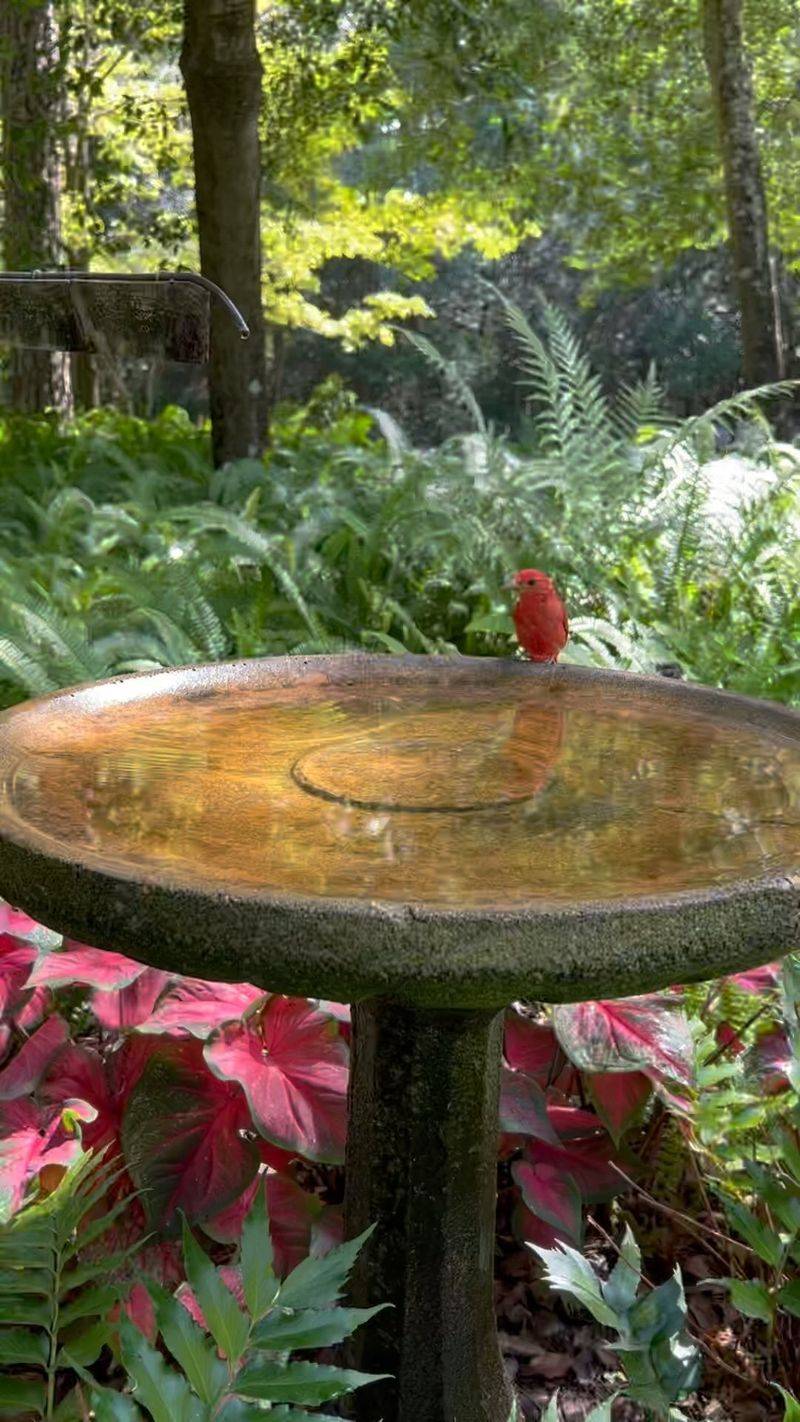 Create a Dripping Water Feature