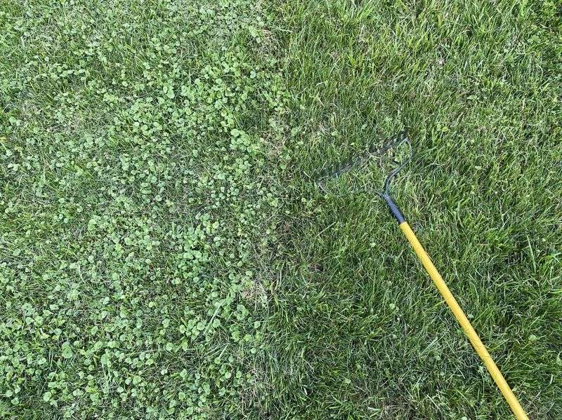 Use Targeted Spot Treatments