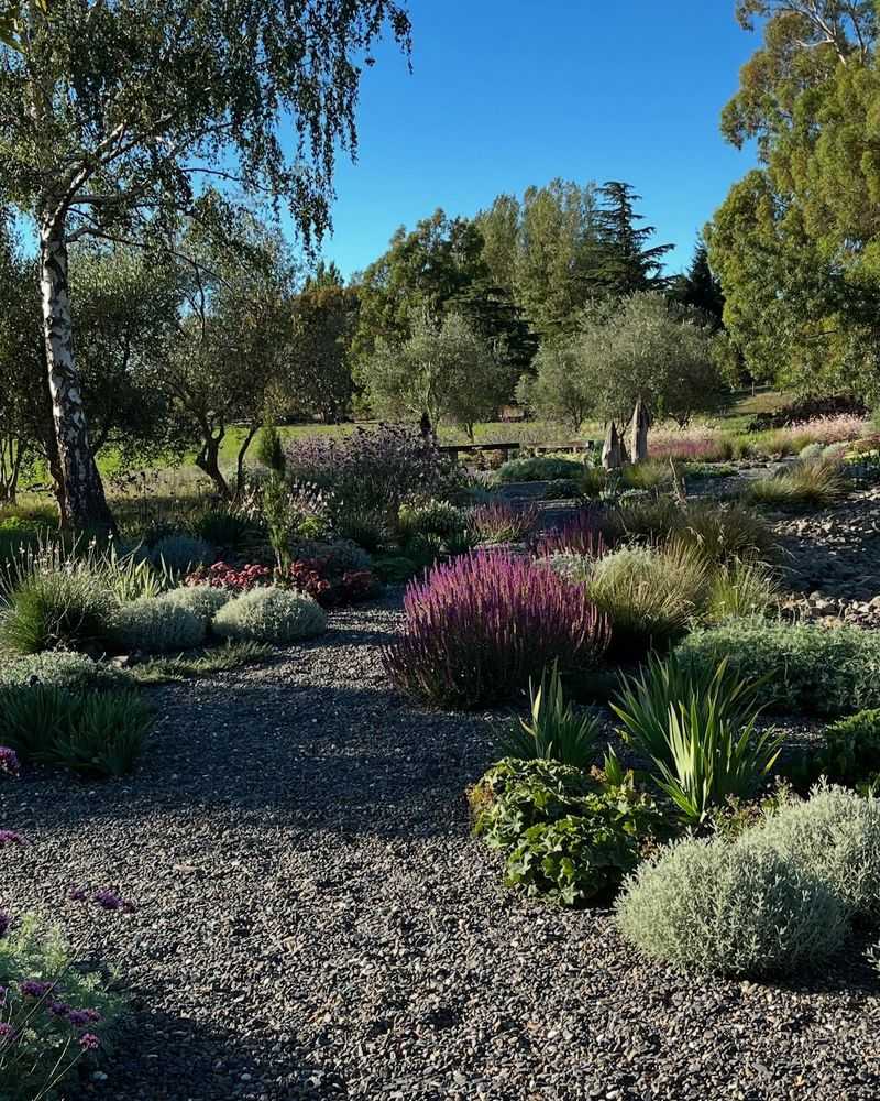 Smart Plant Pairings