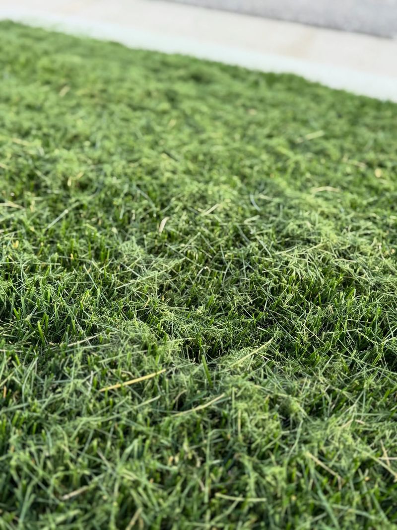 Promotes Healthier Grass