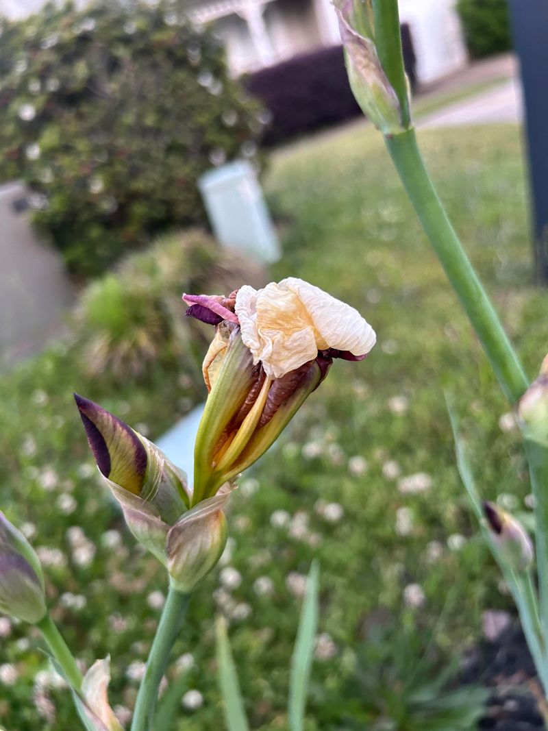 Practice Smart Deadheading