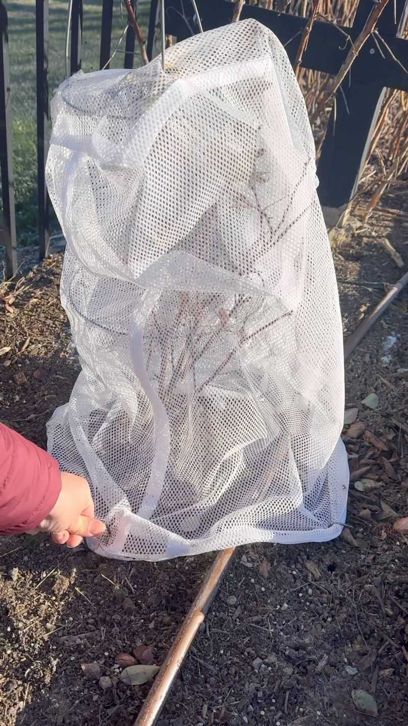 Provide Winter Protection