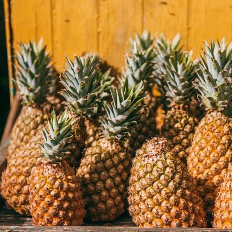 Pineapples