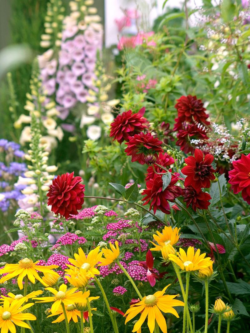 Create Contrast With Different Plant Colors
