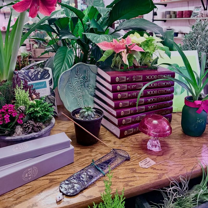 Book Planter Box