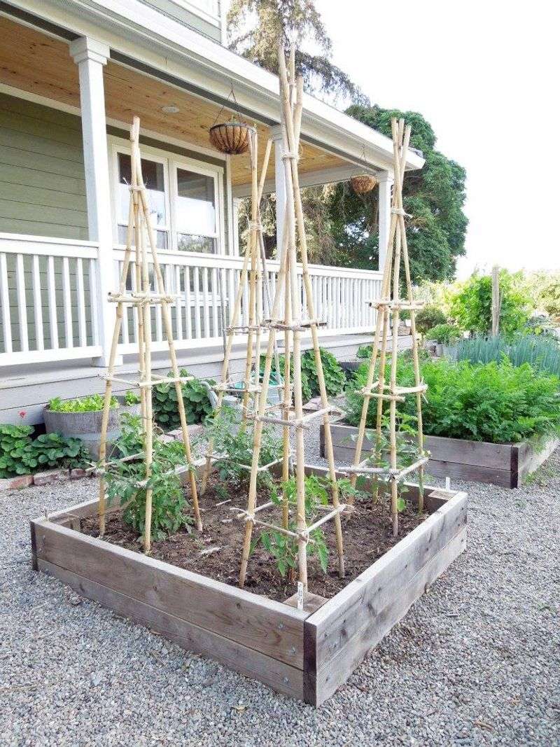 Aesthetic Impact On Your Garden