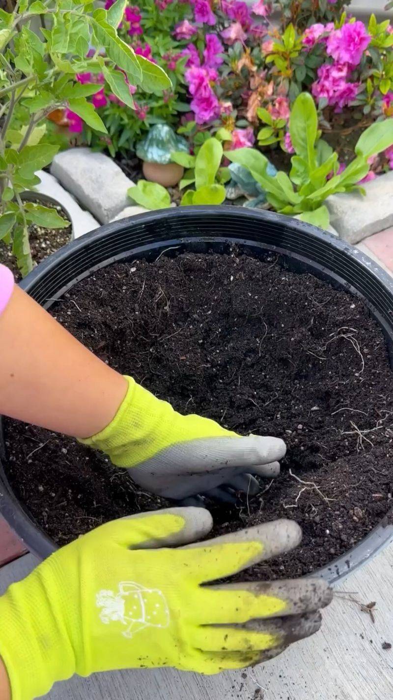 Focus on Soil Quality