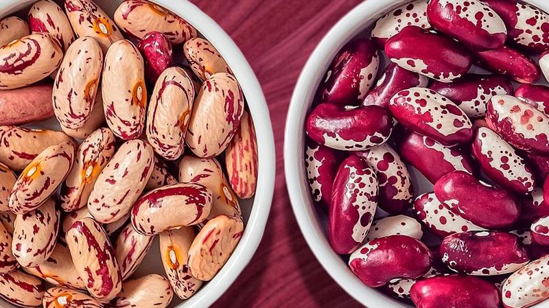 Anasazi Bean - The Ancient American Legume