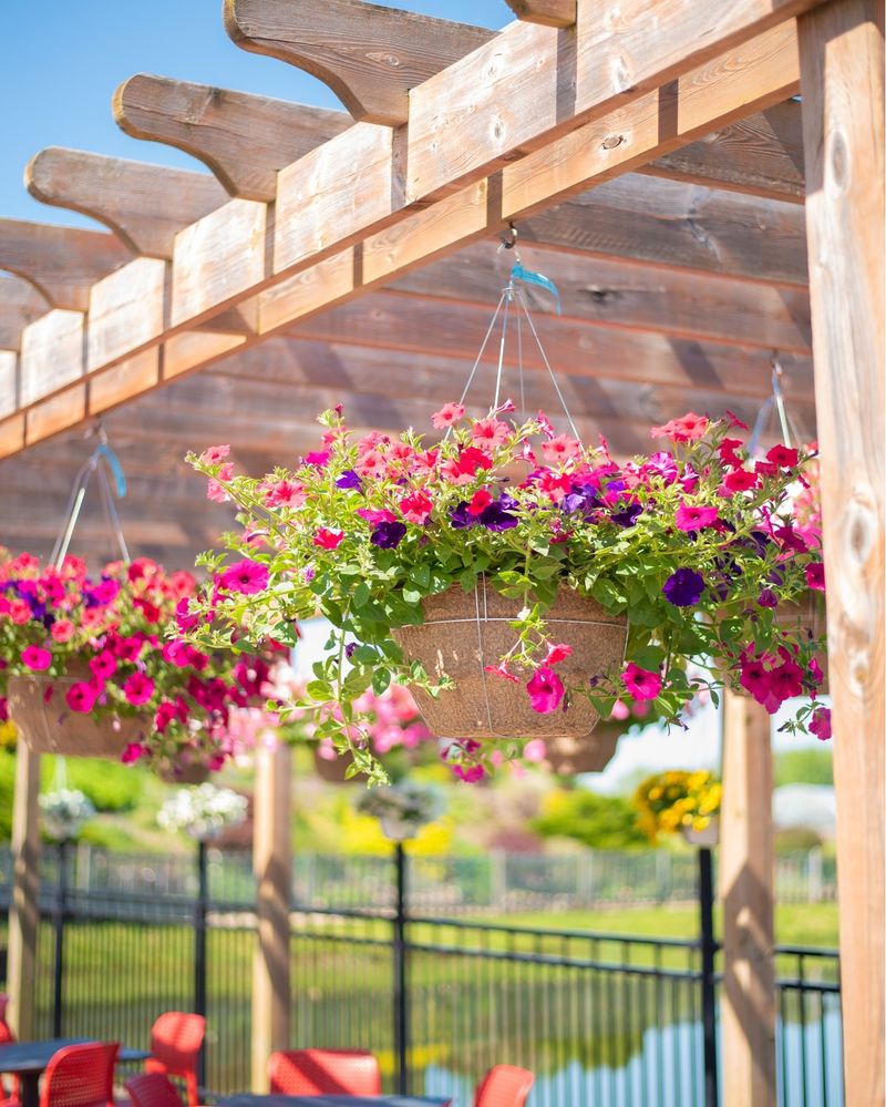 Hanging Basket Clusters