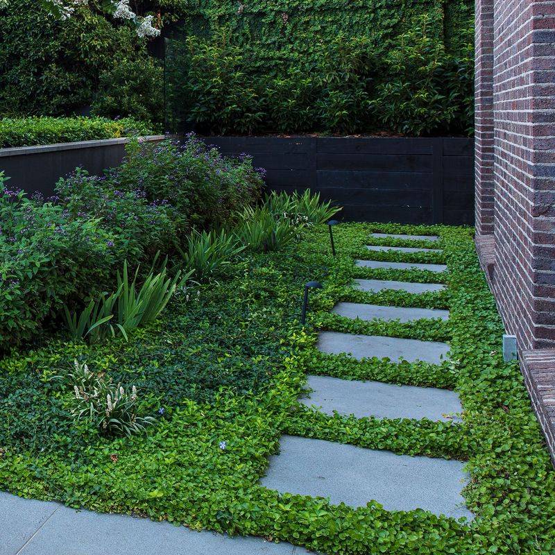 Lawn-Free Designs