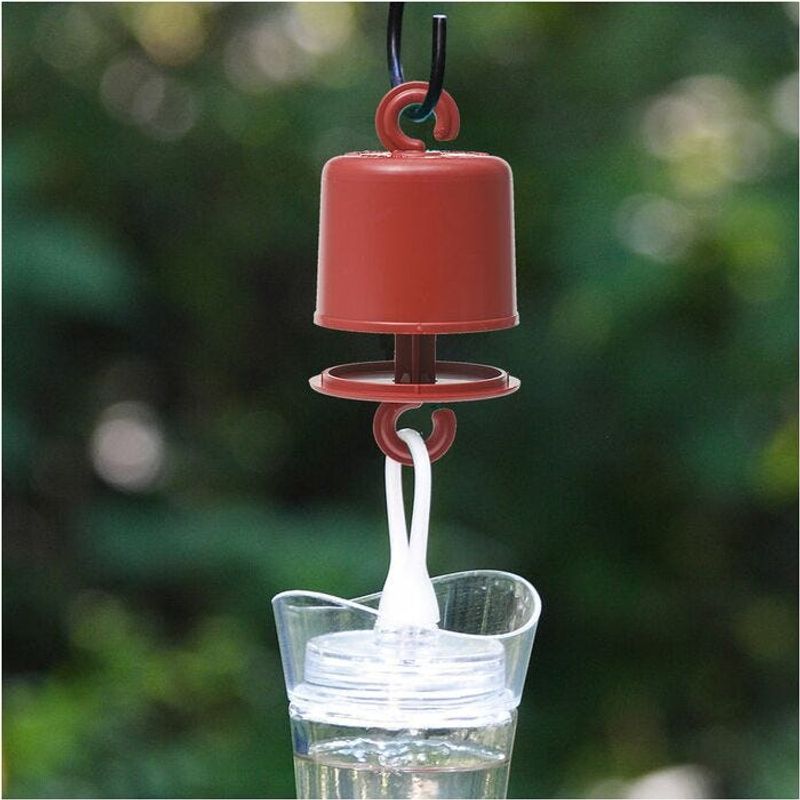 Ant Invasion Solutions