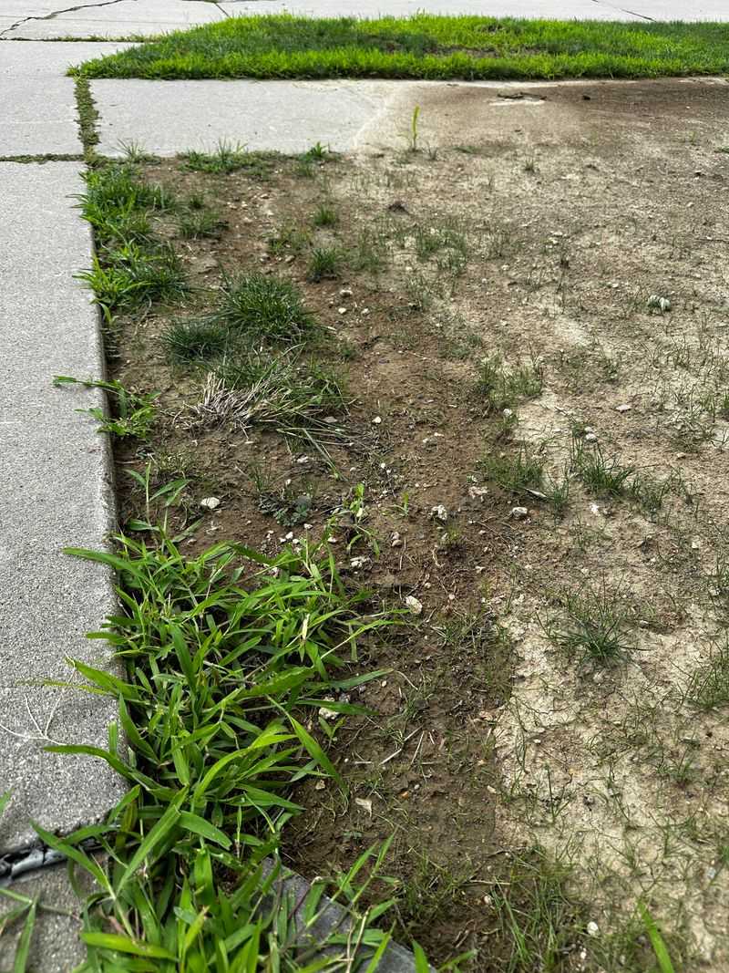 Rainfall Washout Disasters