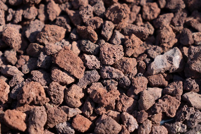 Lava Rock Borders Around Plants