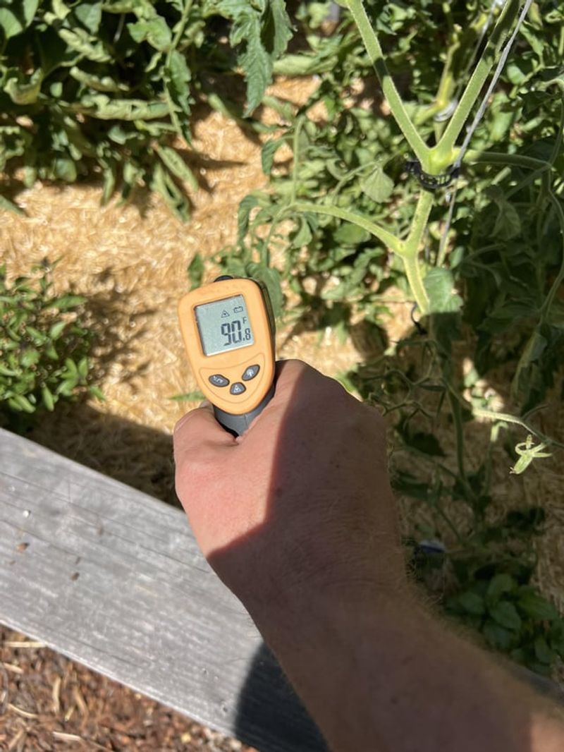 Temperature Management Differences