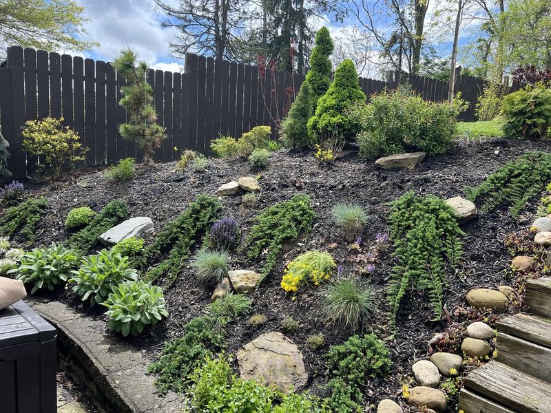 Terraced Hillside Rockery