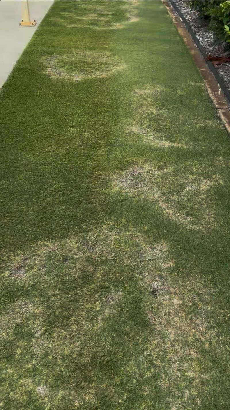 Don't Level During Drought Conditions