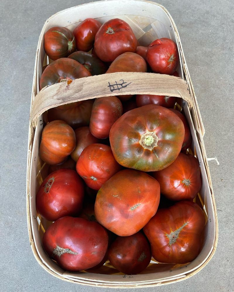 Harvest at Peak Ripeness