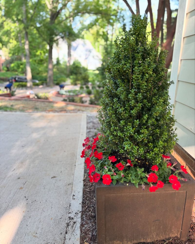 Evergreen Foundation