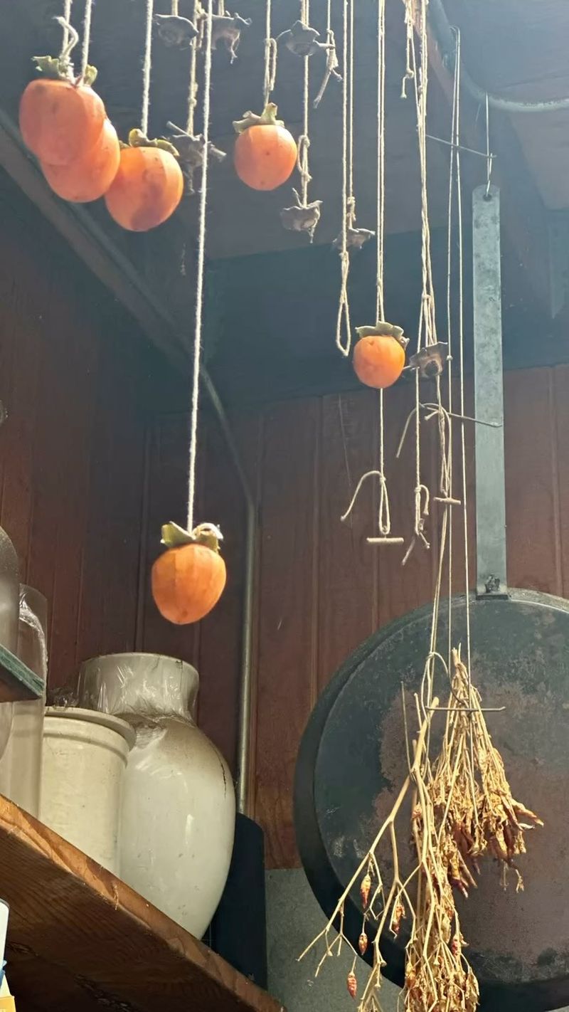 Clothesline Herb Drying