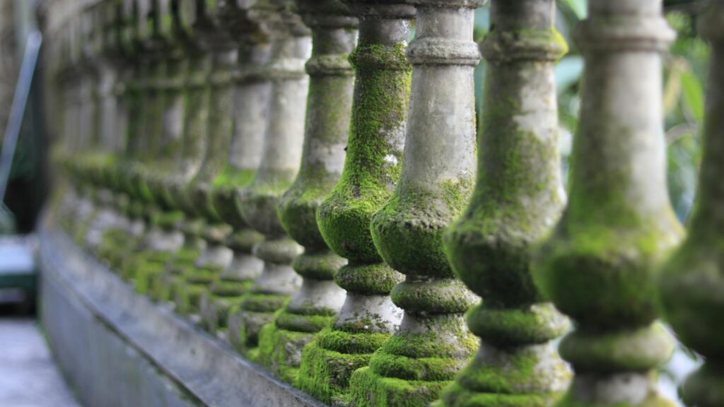 Mossy Stone Accents