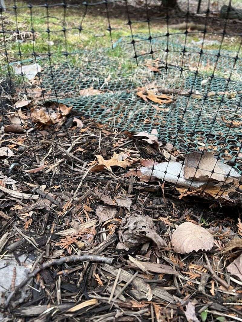 Snake-Proof Mesh Barriers