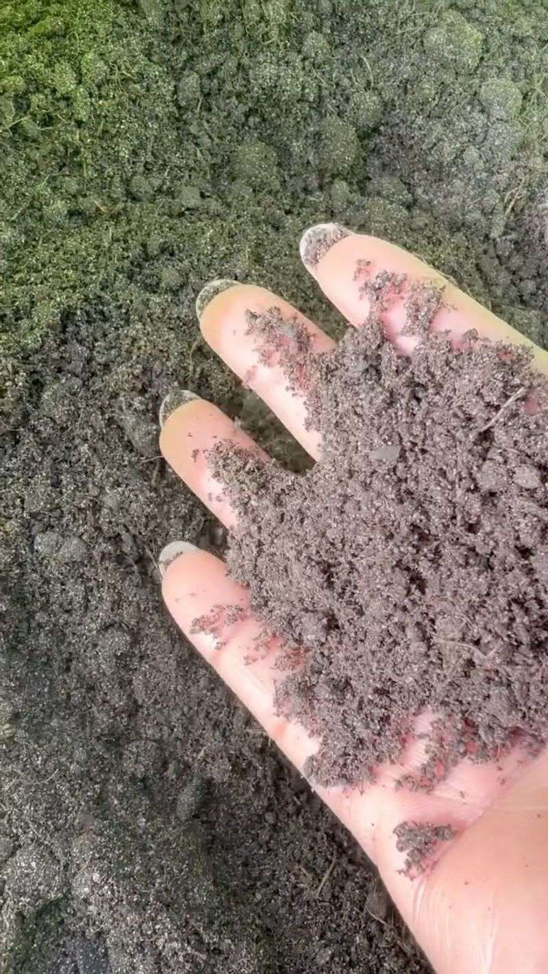 Create the Perfect Soil Mix