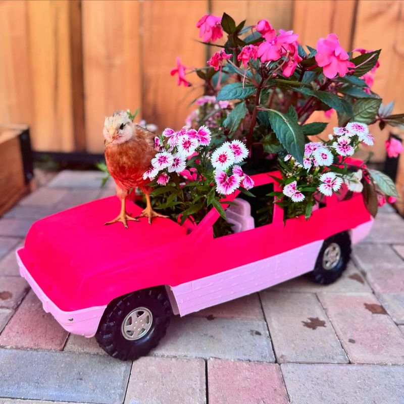 Toy Truck Garden