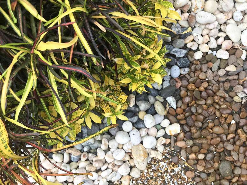 Mixed-Size River Rocks In Beds