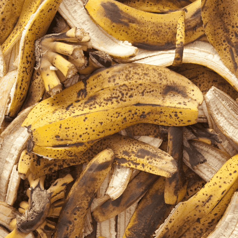 Banana Peel Tea Fertilizer