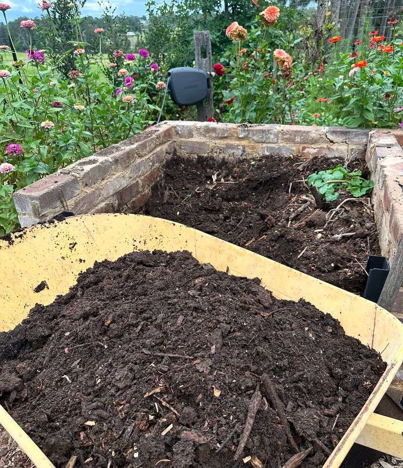Use Compost or Aged Manure as a Supplement