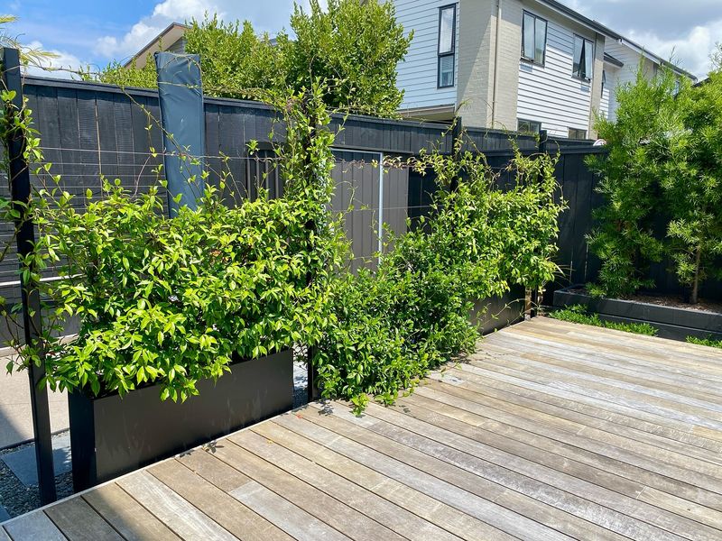 Living Privacy Screens