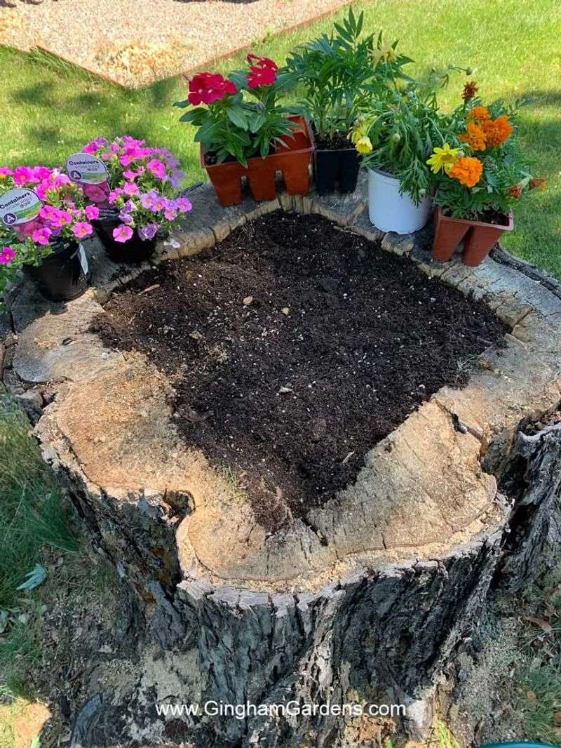 Planter Centerpiece