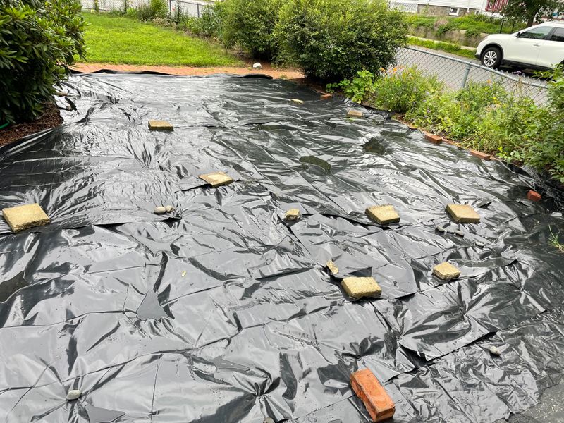 Tarping And Solarization