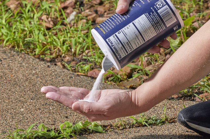 NEVER USE: Table Salt in Garden Beds