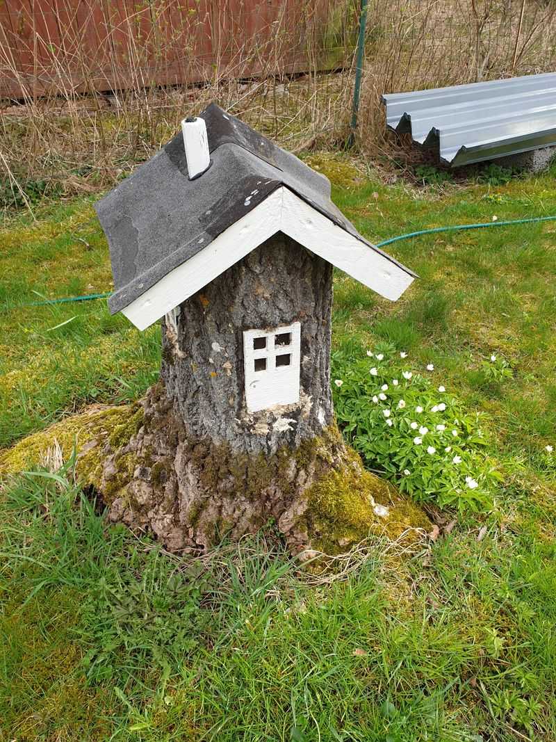 Fairy Garden Base
