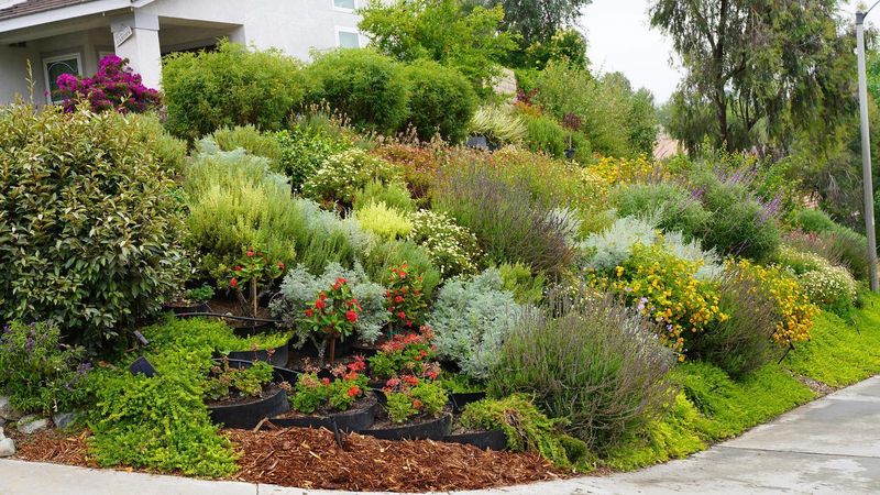 Erosion Control Experts