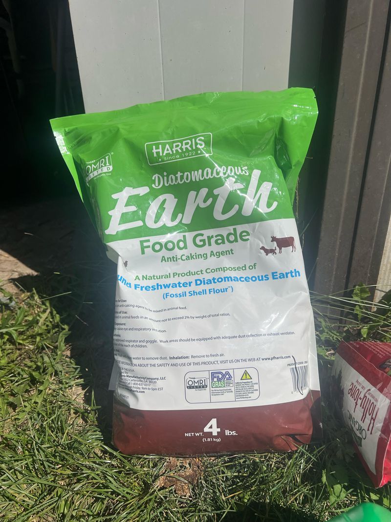 Diatomaceous Earth