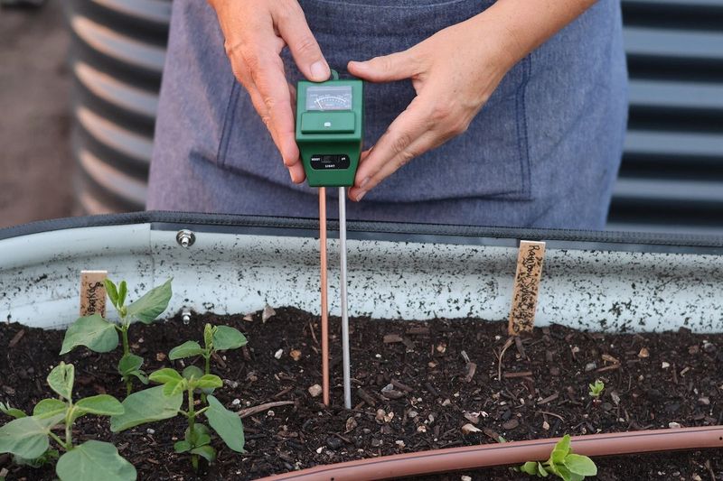 Test Soil Before Planting