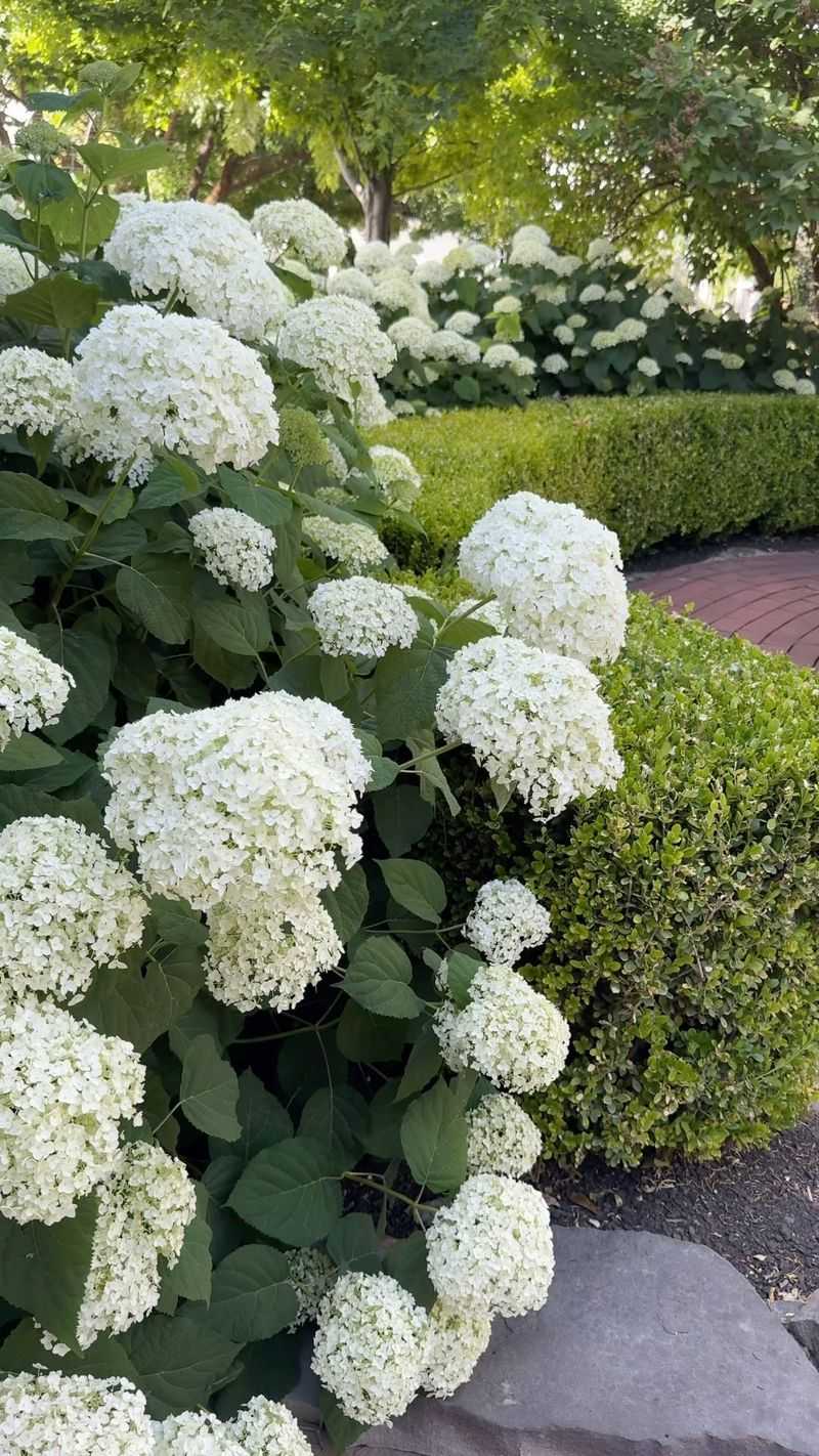 Using overhead sprinklers