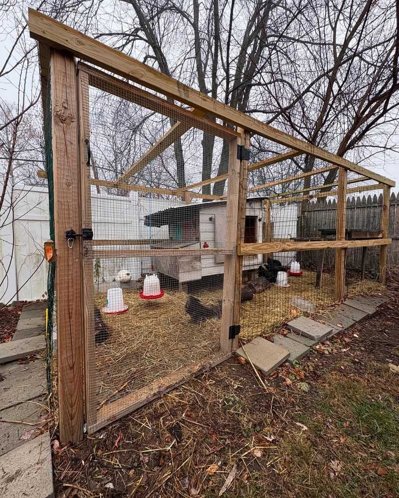 Improper Chicken Coops