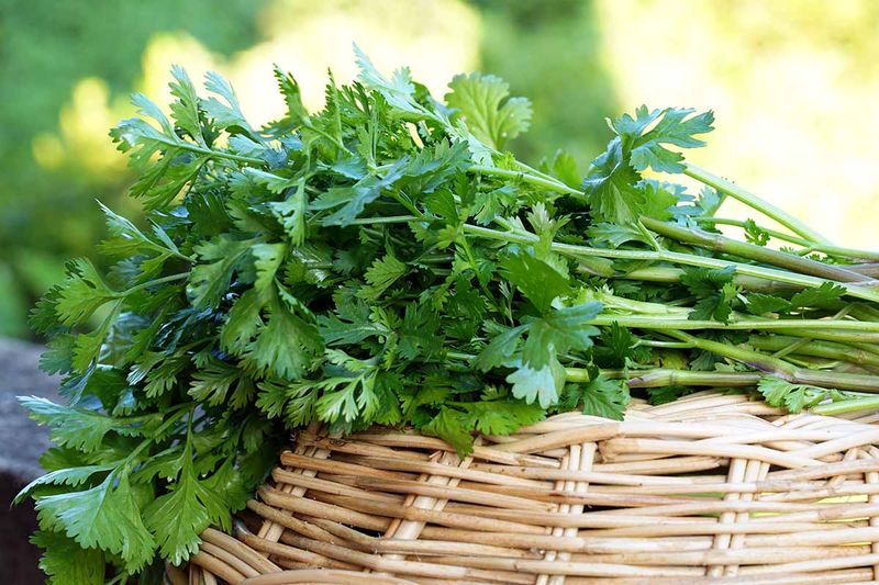 Store-Bought Is Practically Identical To Homegrown