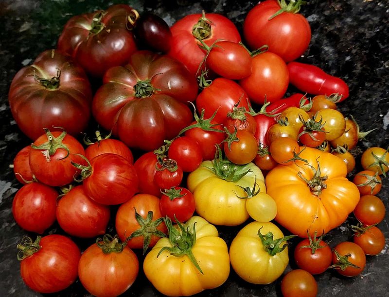 Variety Selection Makes a Difference