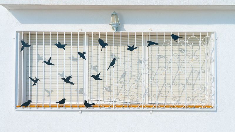 Reduce Window Collisions