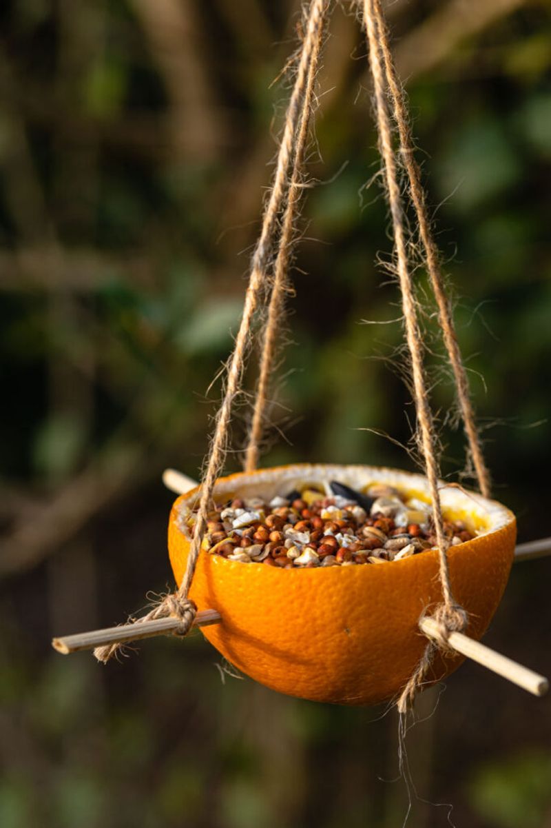 Grapefruit Halves as Seed Bowls