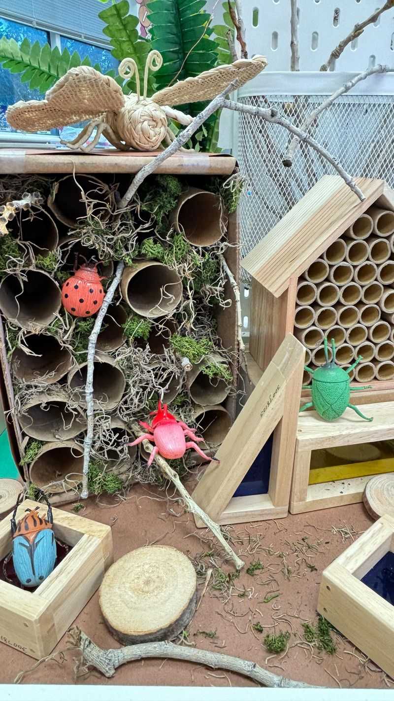 Paper Towel Tubes Form Beneficial Insect Homes
