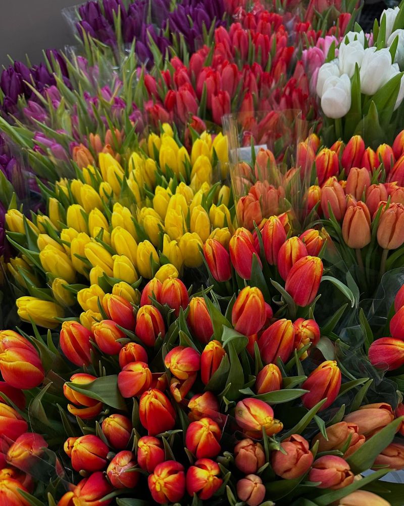 Burnt Orange and Purple: Autumn in Spring