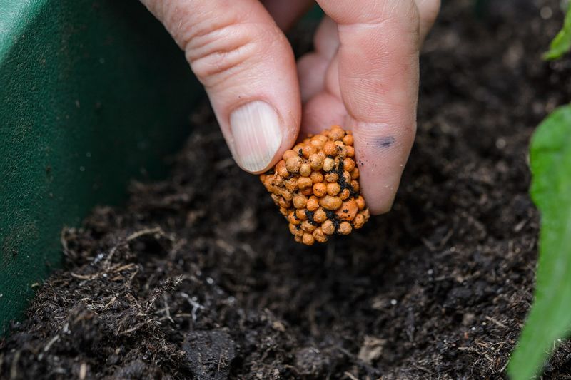Fertilizing Dry Soil