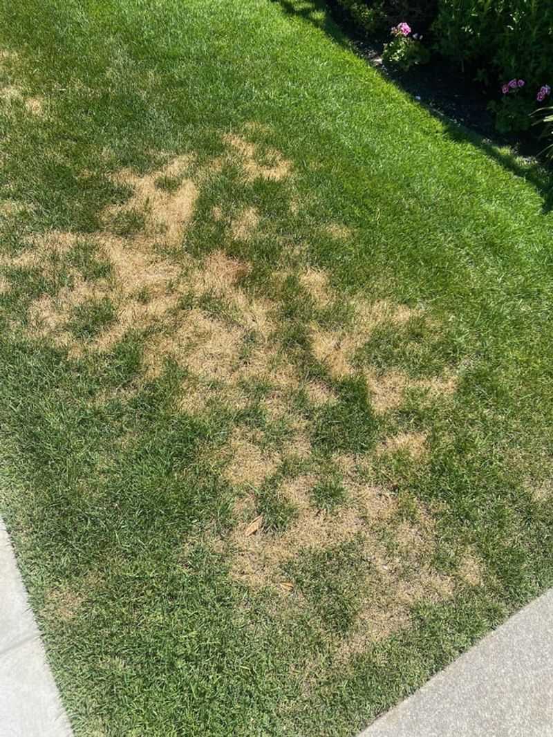 Spot-Treat Problem Areas