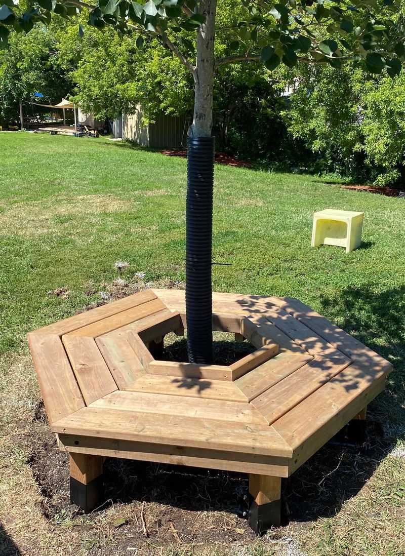 Built-In Seating Around Trees